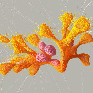 pexels-googledeepmind-17484970