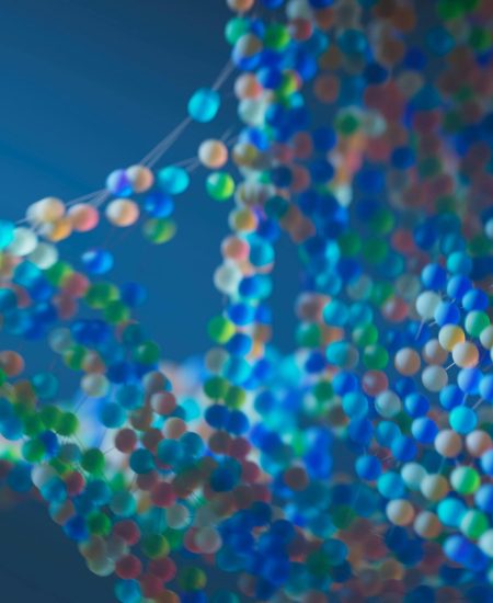 pexels-googledeepmind-25626516